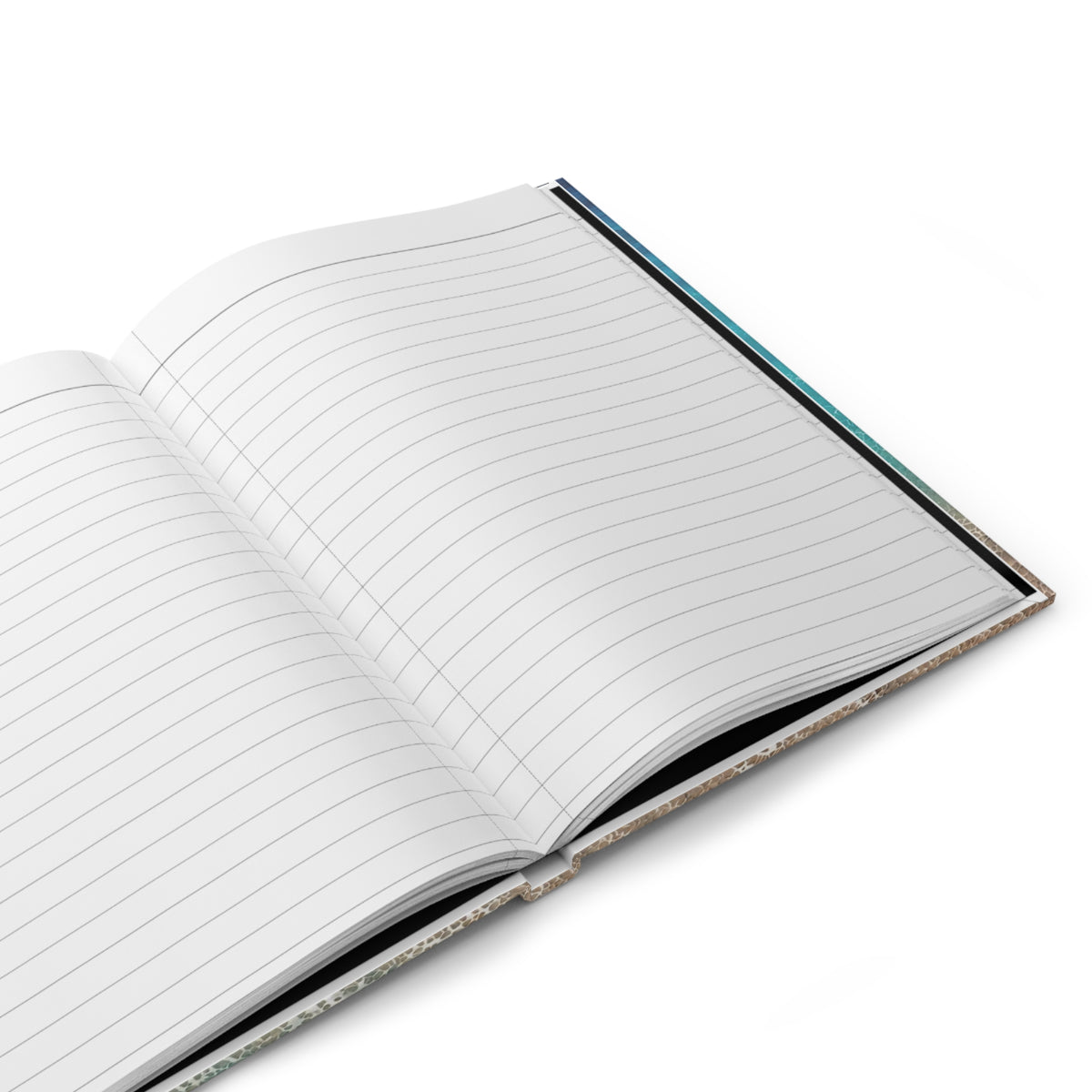 My Florida Vacation Hardcover Journal | Kids Travel Memory Book